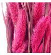 Setarea sugar pink - SETSUGPIN1