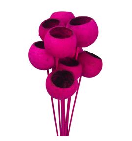 Bell cup seco fucsia - BELCUPFUC