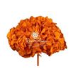 Hortensia preservada orange 02 - HYDPREORA02
