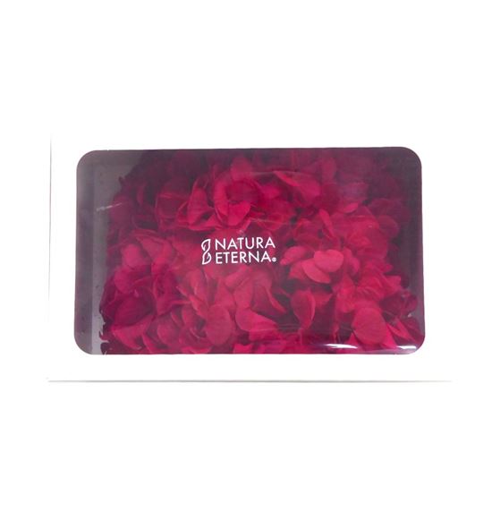Hortensia preservada granate caja - HORPREGRACAJ
