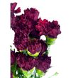 Clavel standar granate x25 - CLACOLGRA1
