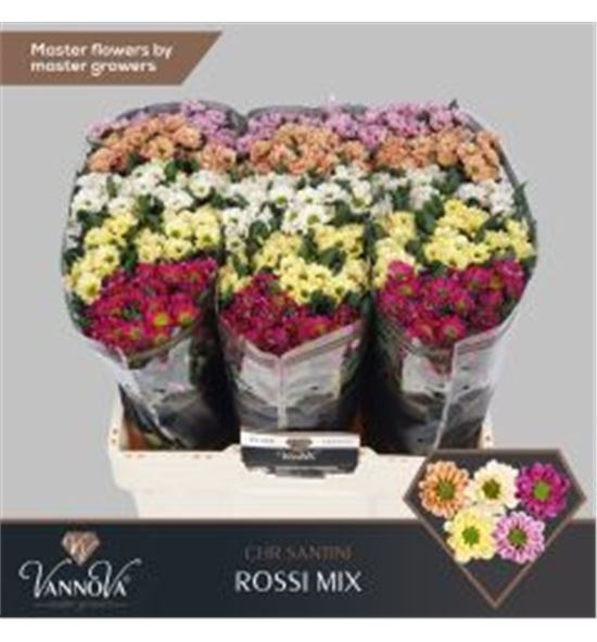 Cr santini rossi mixto 55 - CRSROSMIX55