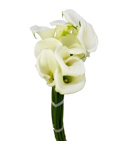 Cala pure art 70 - ZANPURART