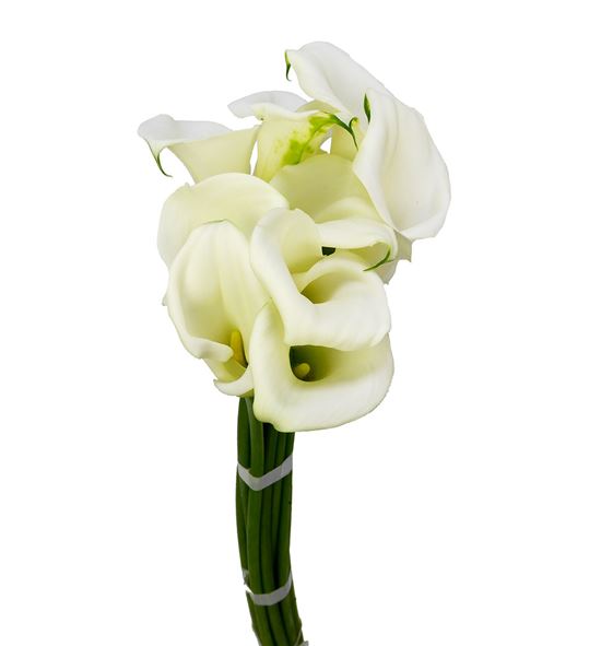 Cala pure art 70 - ZANPURART