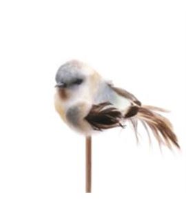 Stick pajaro azul 50 x5 - STIPAJAZU50