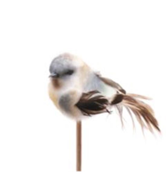 Stick pajaro azul 50 x5 - STIPAJAZU50