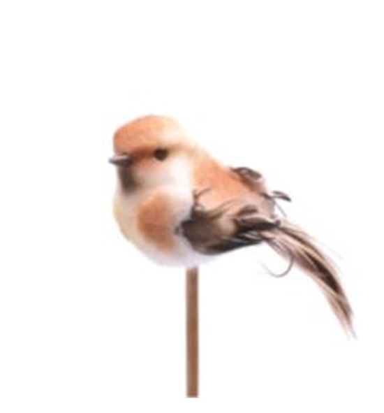 Stick pajaro marron 50 x5 - STIPAJMAR50