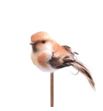 Stick pajaro marron 50 x5 - STIPAJMAR50