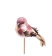 Stick pajaro morado 50 x5 - STIPAJMOR50