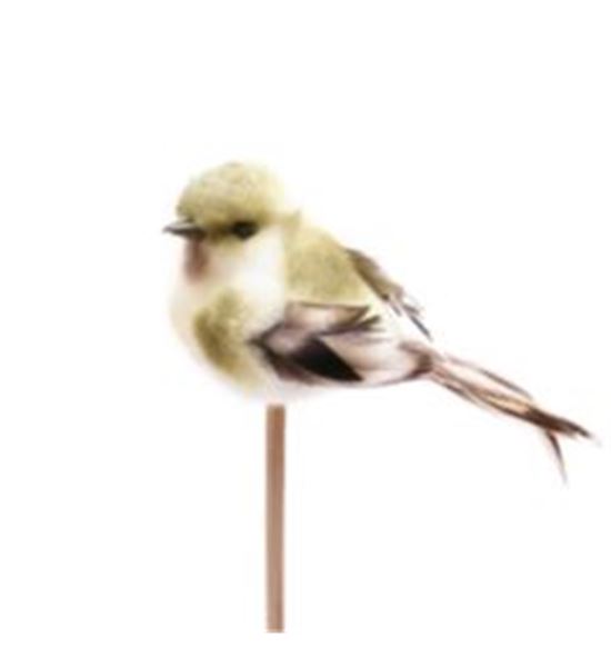 Stick pajaro verde 50 x5 - STIPAJVER50