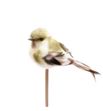 Stick pajaro verde 50 x5 - STIPAJVER50