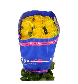 Rosa ecu goldfinch 40 - REGOL