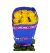 Rosa ecu goldfinch 40 - REGOL