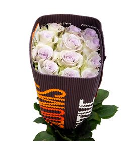 Rosa ecu andrea 60 - REAND