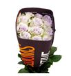 Rosa ecu andrea 60 - REAND