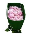 Rosa ecu pinky promise 60 - REPINPRO