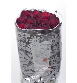 Rosa ecu red paris 60 - REREDPAR
