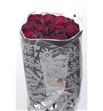 Rosa ecu red paris 60 - REREDPAR