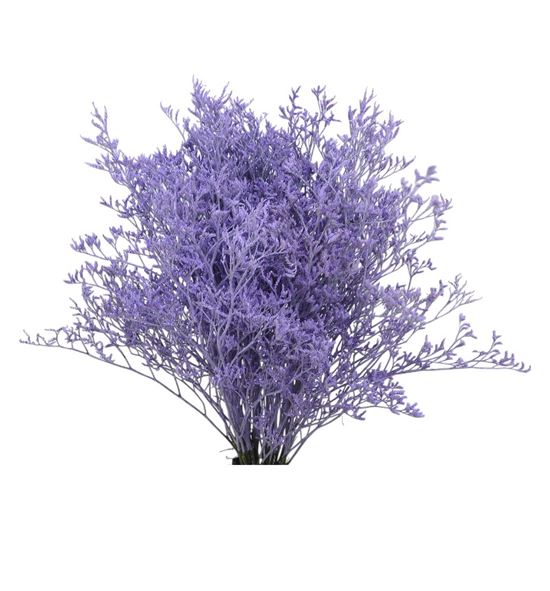 Limonium teñido milka 90 - LIMTENMIL