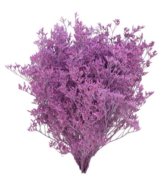Limonium teñido rosa claro 90 - LIMTENROSCLA