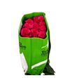 Rosa ecu vi pink 70 - REVIPIN