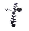 Eucaliptus cinerea negro nacional - EUCCINNEGNAC1