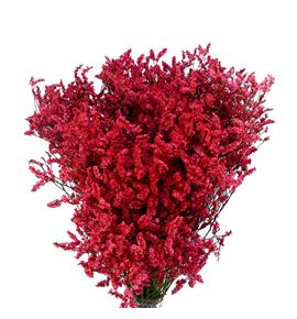Limonium chino teñido rojo - LIMCHITENROJ
