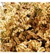 Limonium chino teñido salmon - LIMCHITENSAL1
