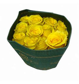 Rosa ecu cancun 70 - RECANC