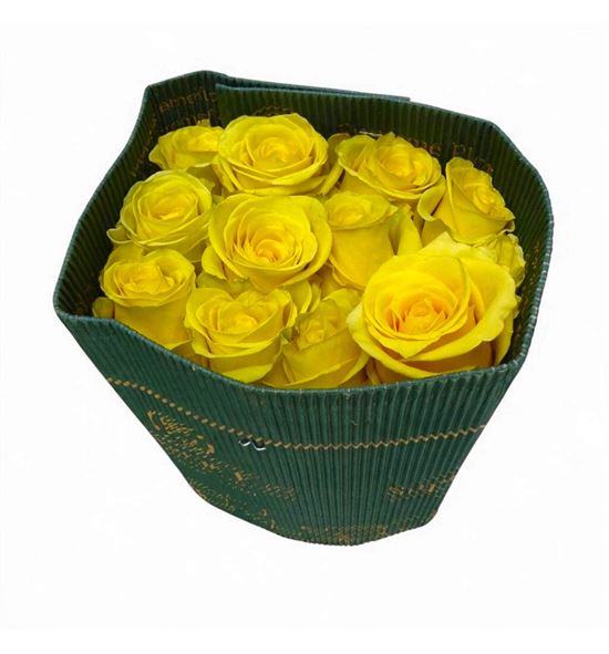 Rosa ecu cancun 70 - RECANC