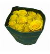 Rosa ecu cancun 70 - RECANC