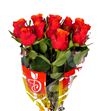 Rosa hol. espana 50 - RGRESP