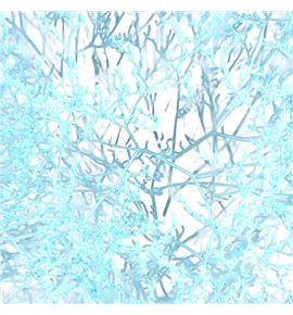 Limonium teñido blue ice 90 - LIMTENBLUICE