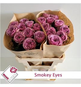 Rosa hol smokey eyes 60 - RGRSMOEYE