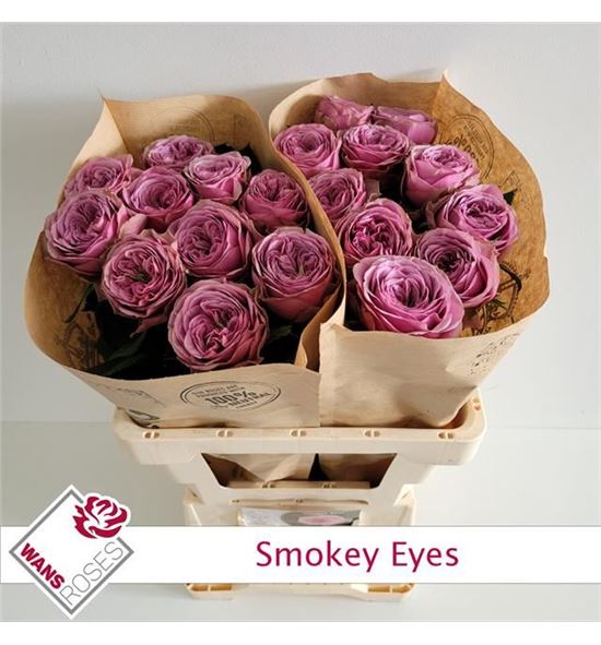 Rosa hol smokey eyes 60 - RGRSMOEYE