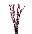 Salix snowflake rojo 70 - SALSNOROJ