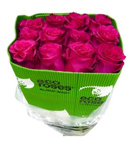 Rosa ecu full monty 60 - REFULNIG