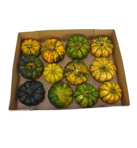 Calabaza miss sophie pink x12 - CALMISSOPPIN12