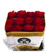 Rosa ecu bromo 60 - REBRO