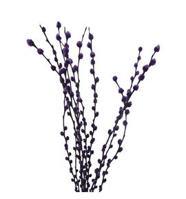 Salix snowflake lila 70 - SALSNOLIL