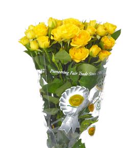 Rs ramificada yellow babe 60 - RTRYELBAB