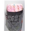 Rosa ecu jessica 50 - RENEN