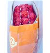 Rosa ecu manitou 50 - REMAN
