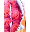 Rosa ecu manitou 50 - REMAN2