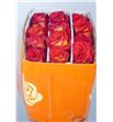 Rosa ecu payaso 50 - REPAY