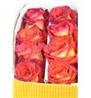 Rosa ecu payaso 50 - REPAY1