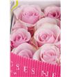Rosa ecu titanic 70 - RETIT1