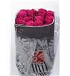 Rosa ecu roseberry 50 - REROS