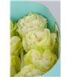 Rosa ecu moonstone 70 - REMOO2