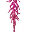 Amar love lies bleeding 80 - AMALOVLIE2